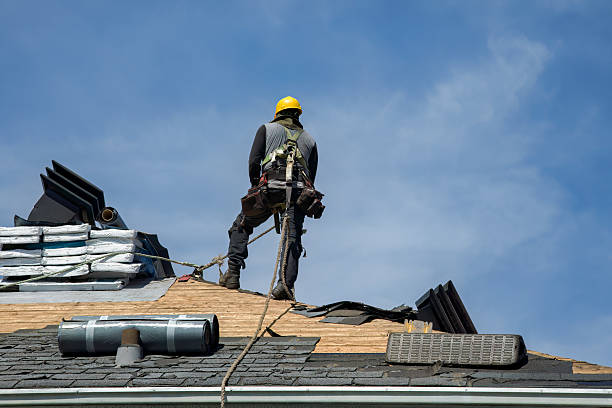 Professional Storm Damage Roof Repair technician working in Coldspring, TX